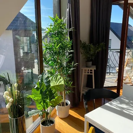 Apartment Sunny Sight