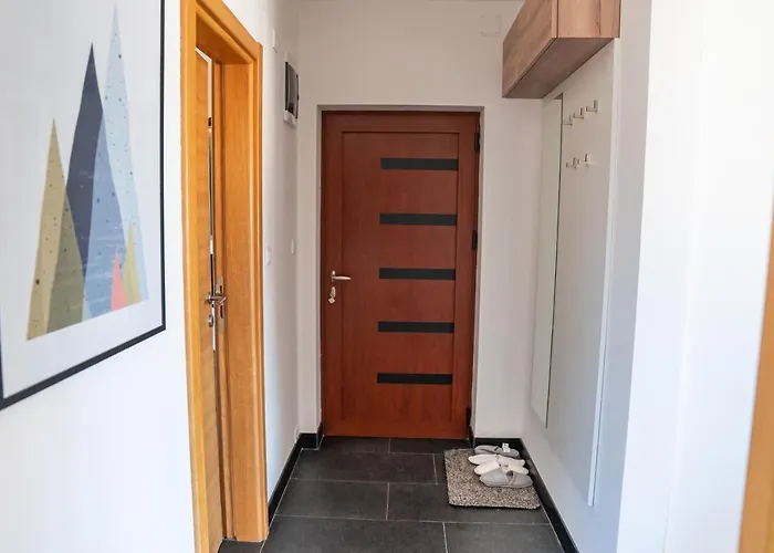 Sunny Sight * ズラティボール